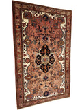 persian rugs nz- rugs nz- Rug Gallery