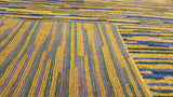 persian rugs nz- rugs nz- Rug Gallery