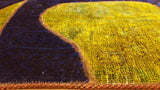 persian rugs nz- rugs nz- Rug Gallery