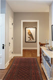 persian rugs nz- rugs nz- Rug Gallery