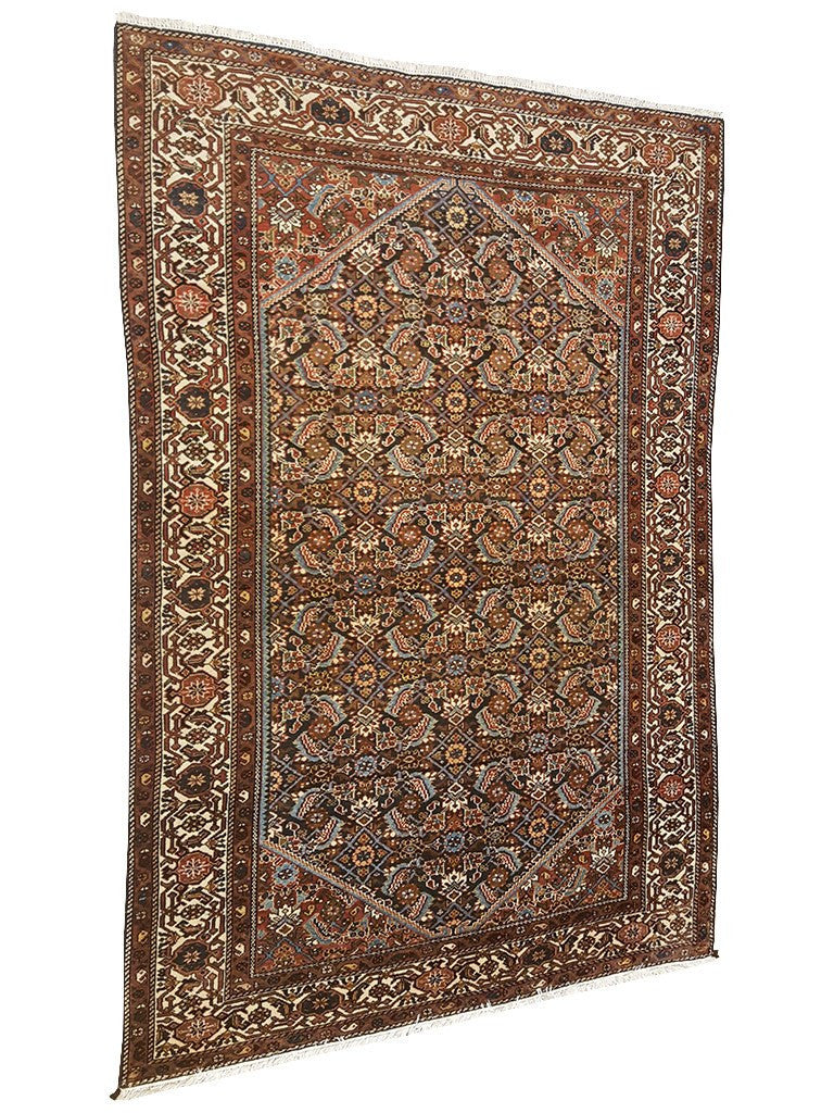 persian rugs nz- rugs nz- Rug Gallery