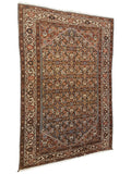 persian rugs nz- rugs nz- Rug Gallery