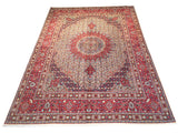 200 cm x 298 cm