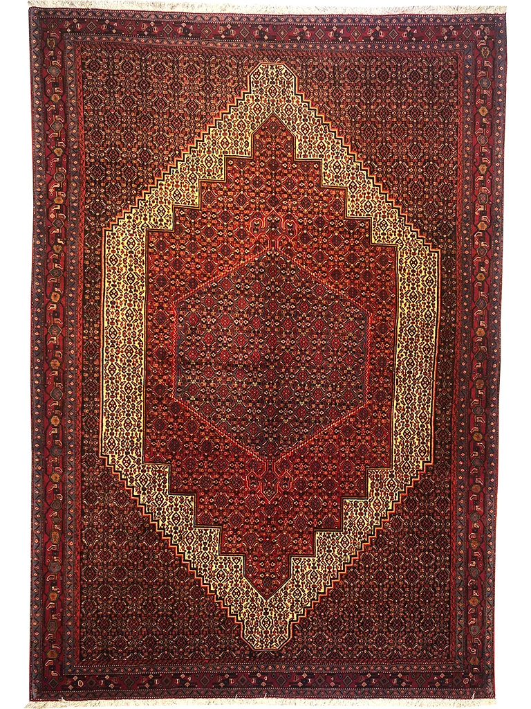 206 cm x 305