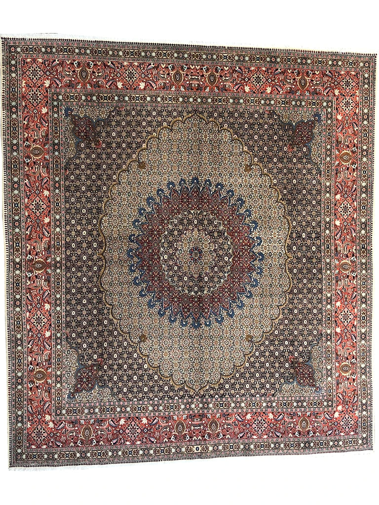 290 cm x 323 cm