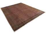 300 cm x 372 cm
