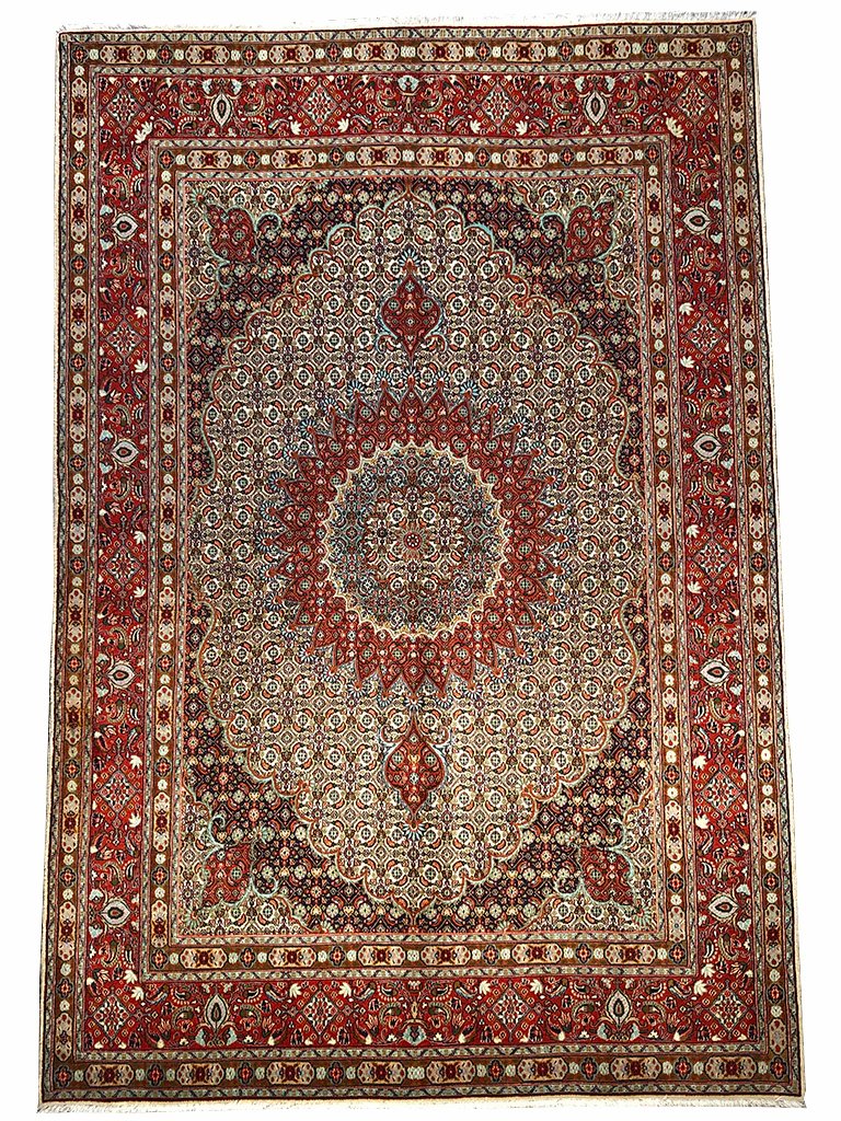 200 cm x 298 cm
