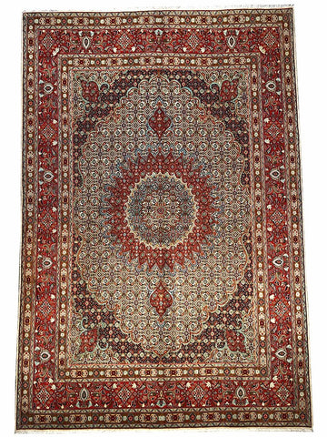 200 cm x 298 cm