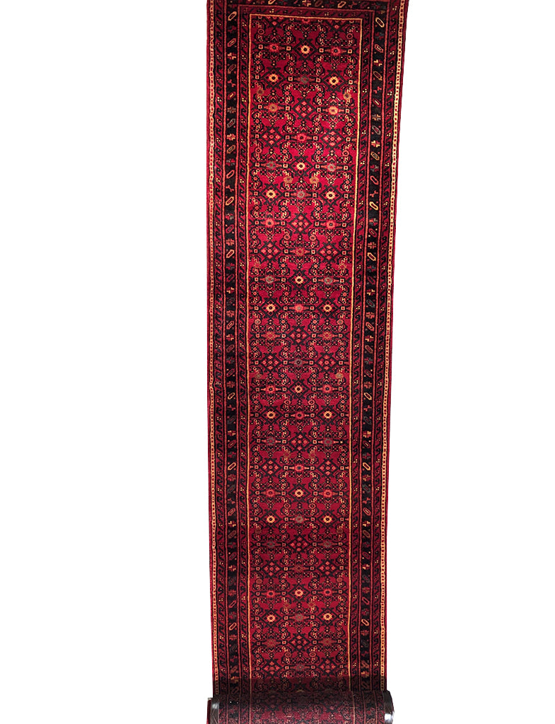 88 cm x 520 cm