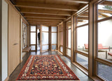 persian rugs nz- rugs nz- Rug Gallery