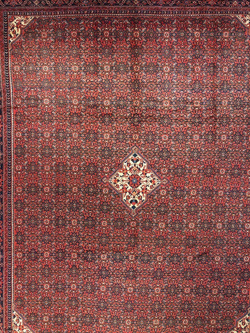 persian rugs nz- rugs nz- Rug Gallery